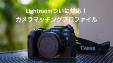 【Adobe Lightroom】R5、R6、R3、1DX3カメラマッチングプロファイル対応！RPは…