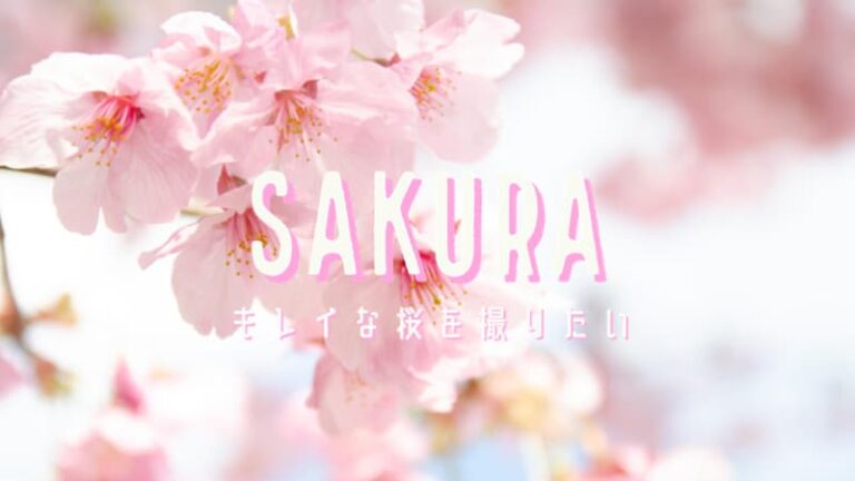桜をキレイに撮りたい