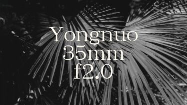 Yongnuo35mm