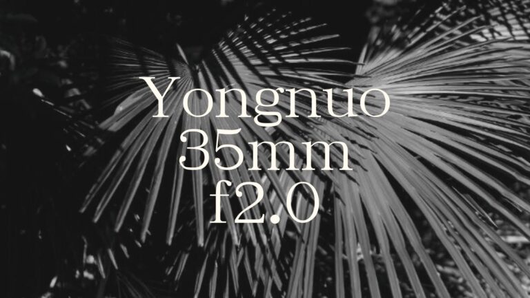 Yongnuo35mm